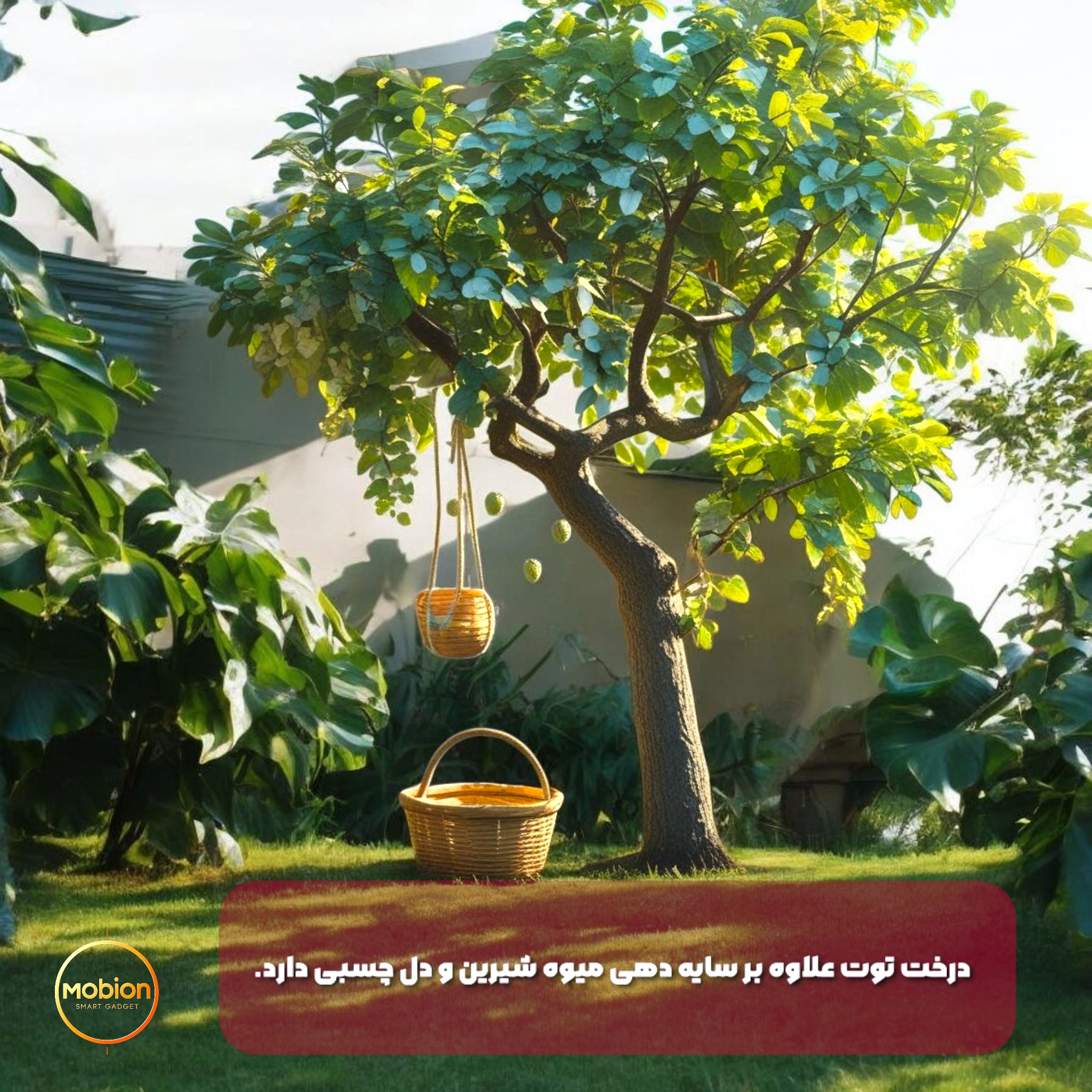 درخت توت در حیاط خانه با یک سبدآویزان از شاخه و یک سبد زیر درخت با محیطی سرسبز-اسم برند mobion در تصویر مشاهده می شود.