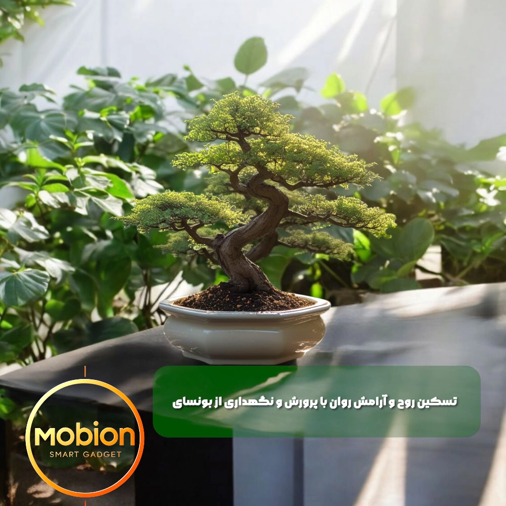 درختچه بونسای زیبا در باغجه خانه- اسم برند mobion مشاهده می شود.